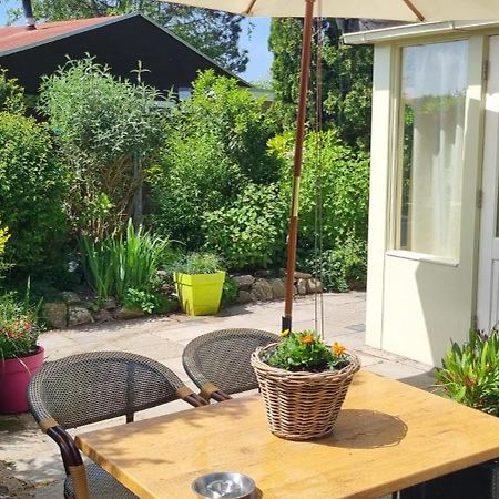 Zonnig Zuid Villa Dirkshorn Exteriör bild